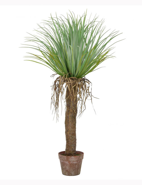 95cm Cycas Palm